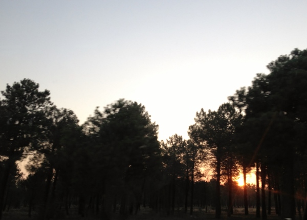 Jerôme_Bougnaud_amanece_1